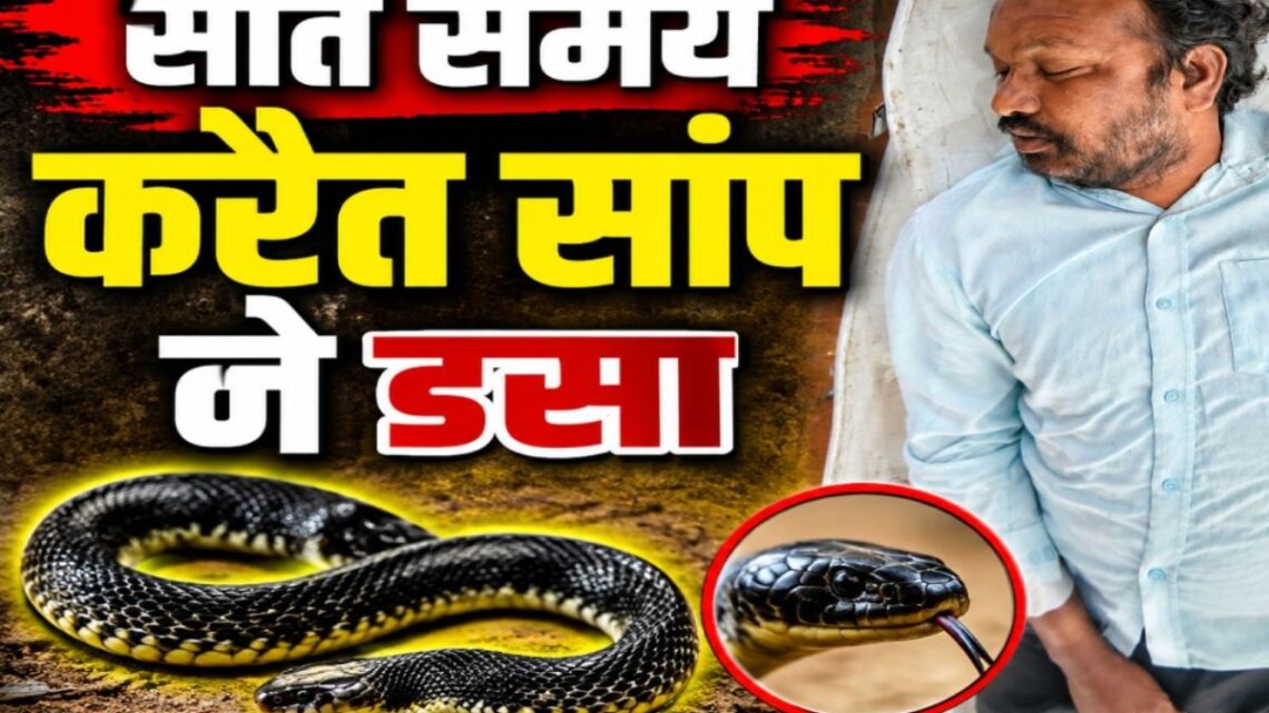 Dhamtari News: धमतरी में स्नेक बाइट से हड़कंप, करैत के डसने से युवक की मौत, गांव में दहशत